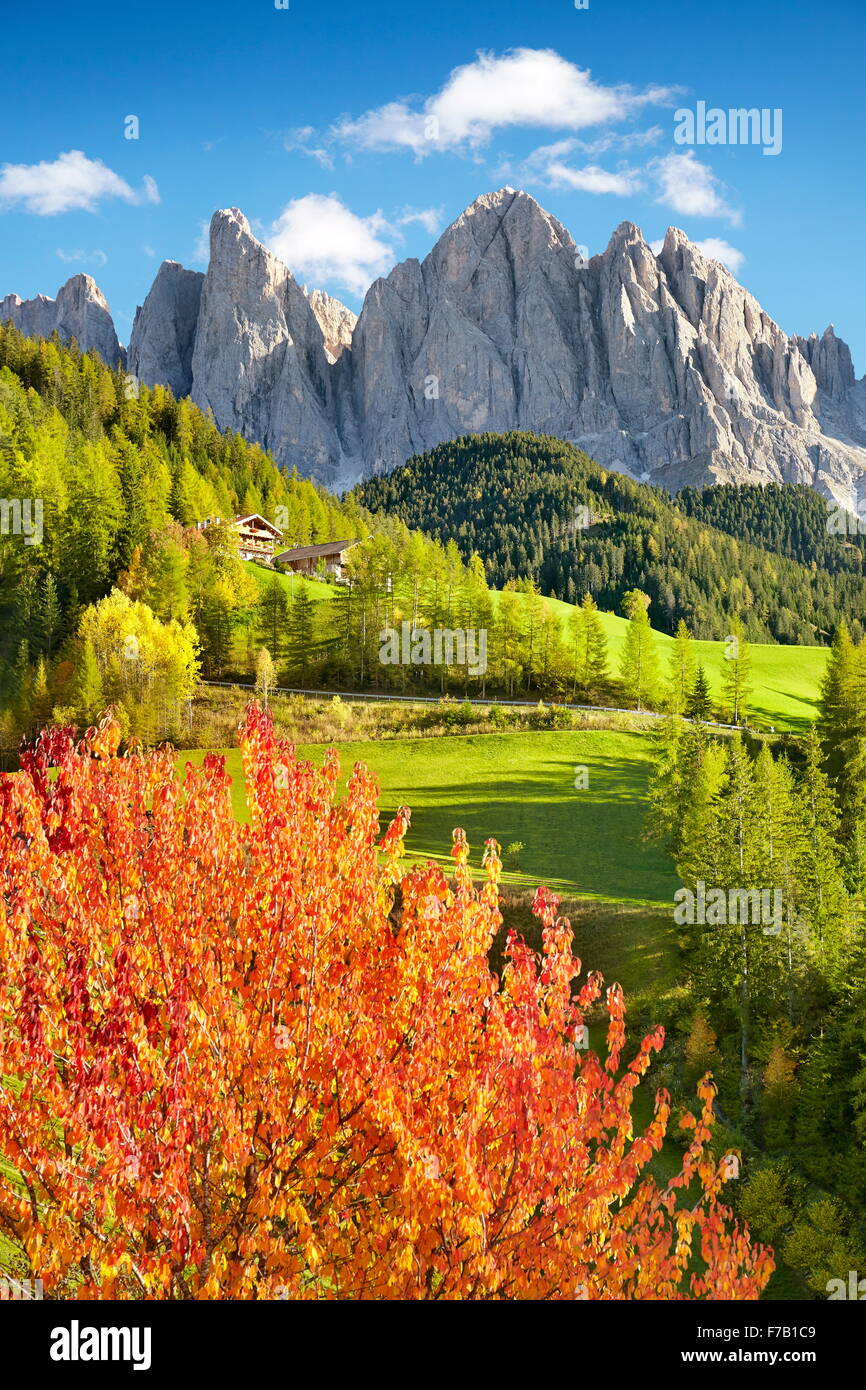 Dolomitas Montañas, paisaje otoñal, Val Di Funes, Alpes, Tirol, Italia Foto de stock
