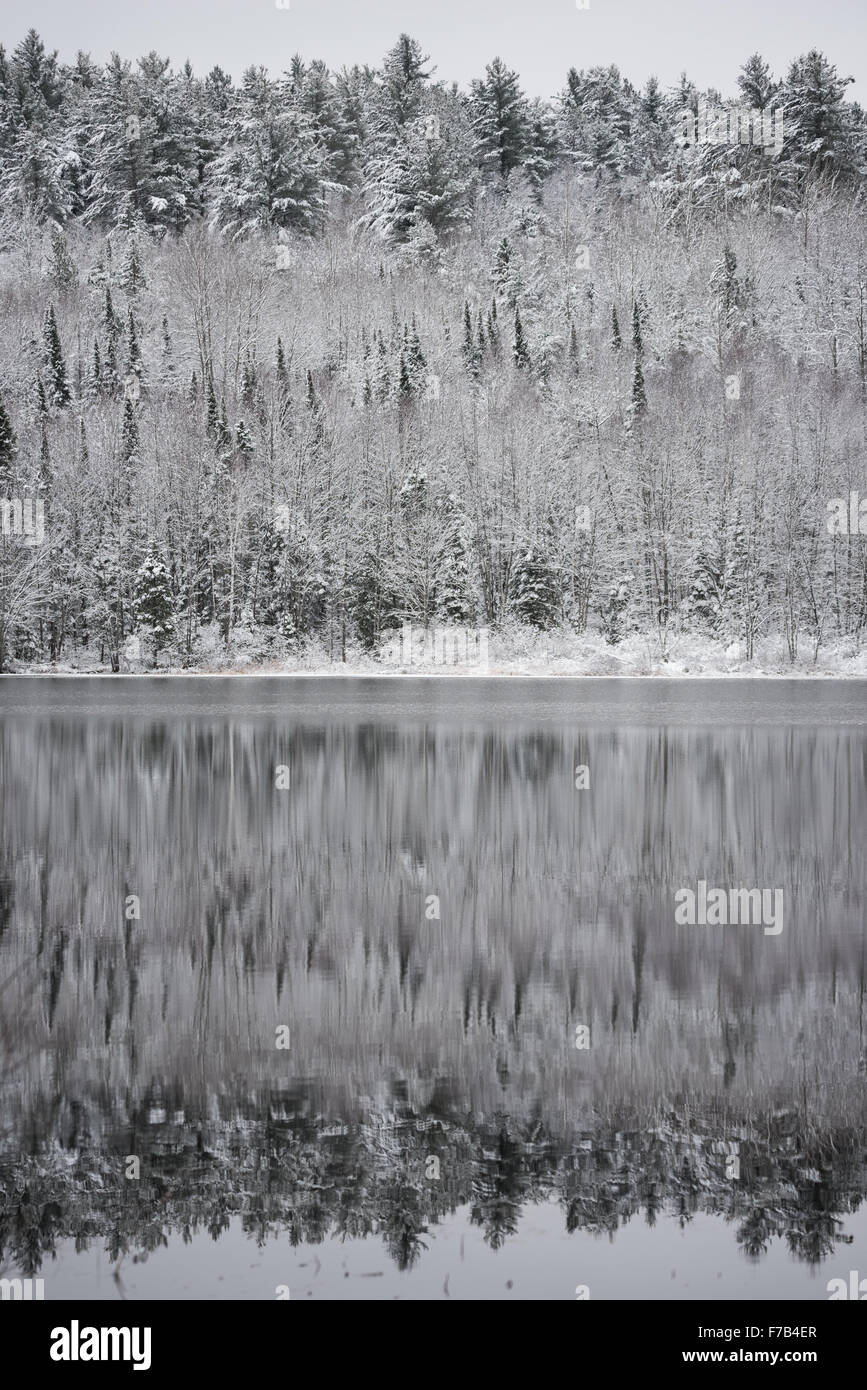 Espejismo de invierno en el lago. Como un espejo, todavía aguas reflejan los bosques junto a ella. Foto de stock