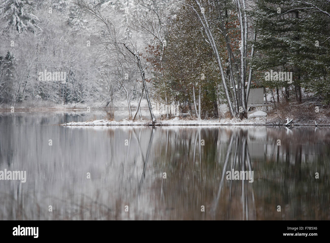 Espejismo de invierno en el lago. Como un espejo, todavía el agua refleja los bosques junto a ella. Foto de stock