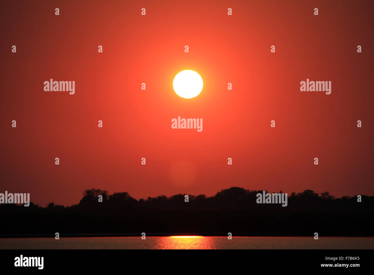 Guma fotografías e imágenes de alta resolución - Alamy