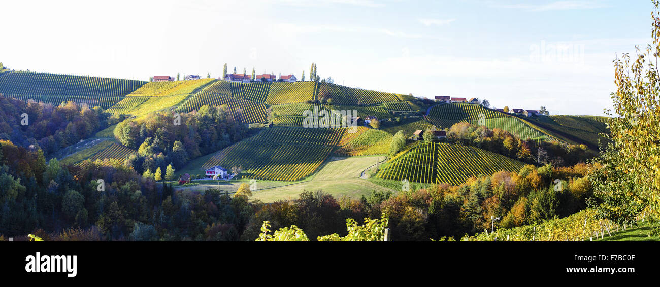 Suedsteirische Weinstrasse, ruta del vino del sur de Estiria en otoño, Austria, Estiria, en el sur de Estiria Foto de stock