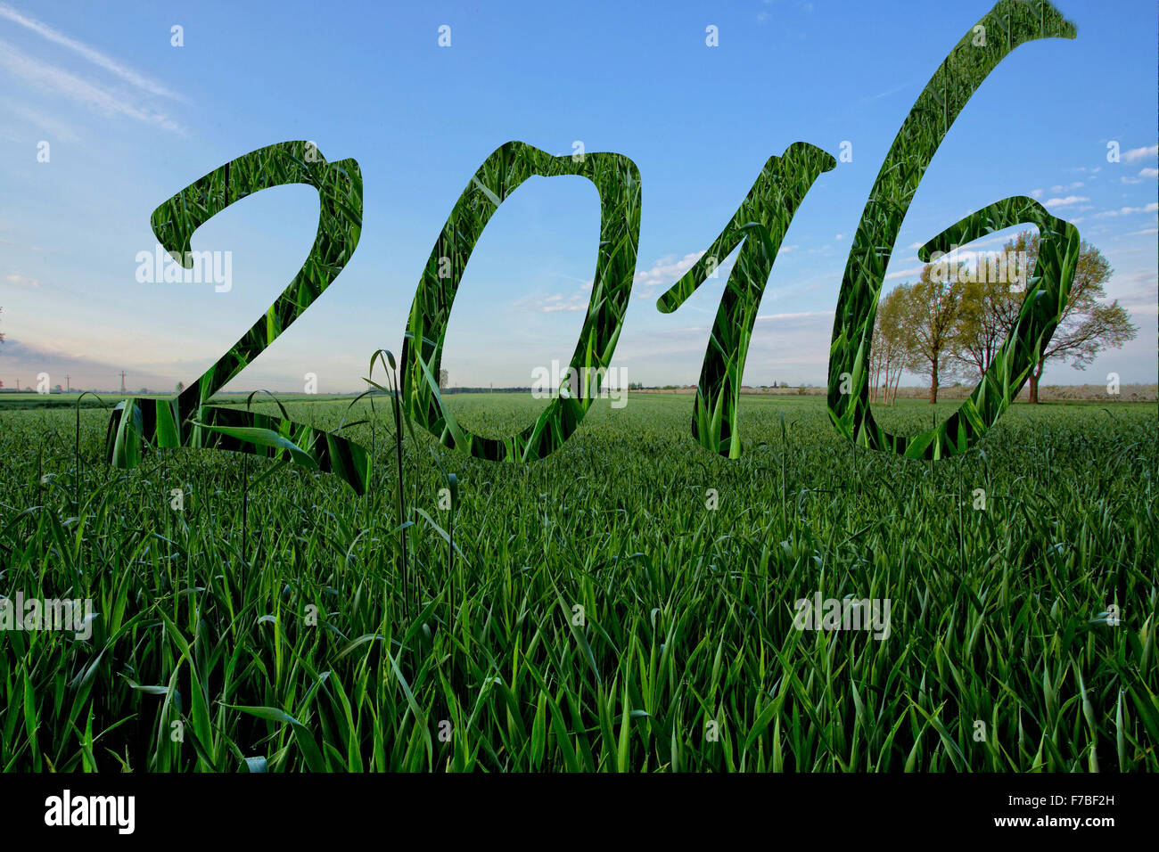 Feliz Año Nuevo 2016 Foto de stock