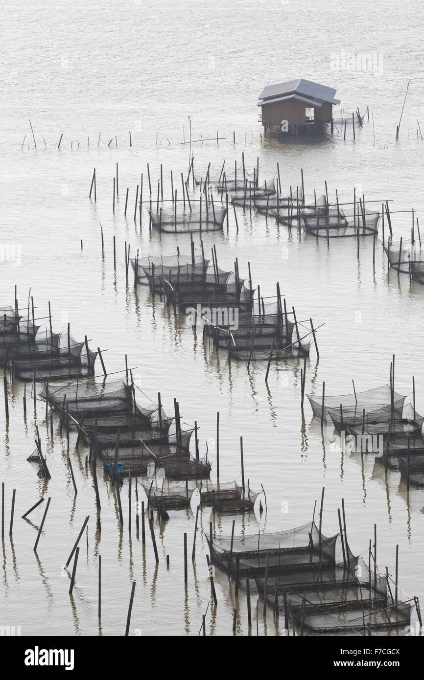El cultivo de peces en el lago Songkhla en el sur de Tailandia Foto de stock