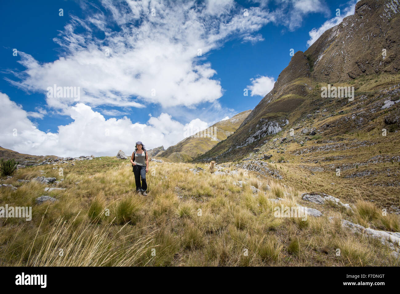 Mujer trekking en las montañas cerca de Cajabamba en Perú Foto de stock