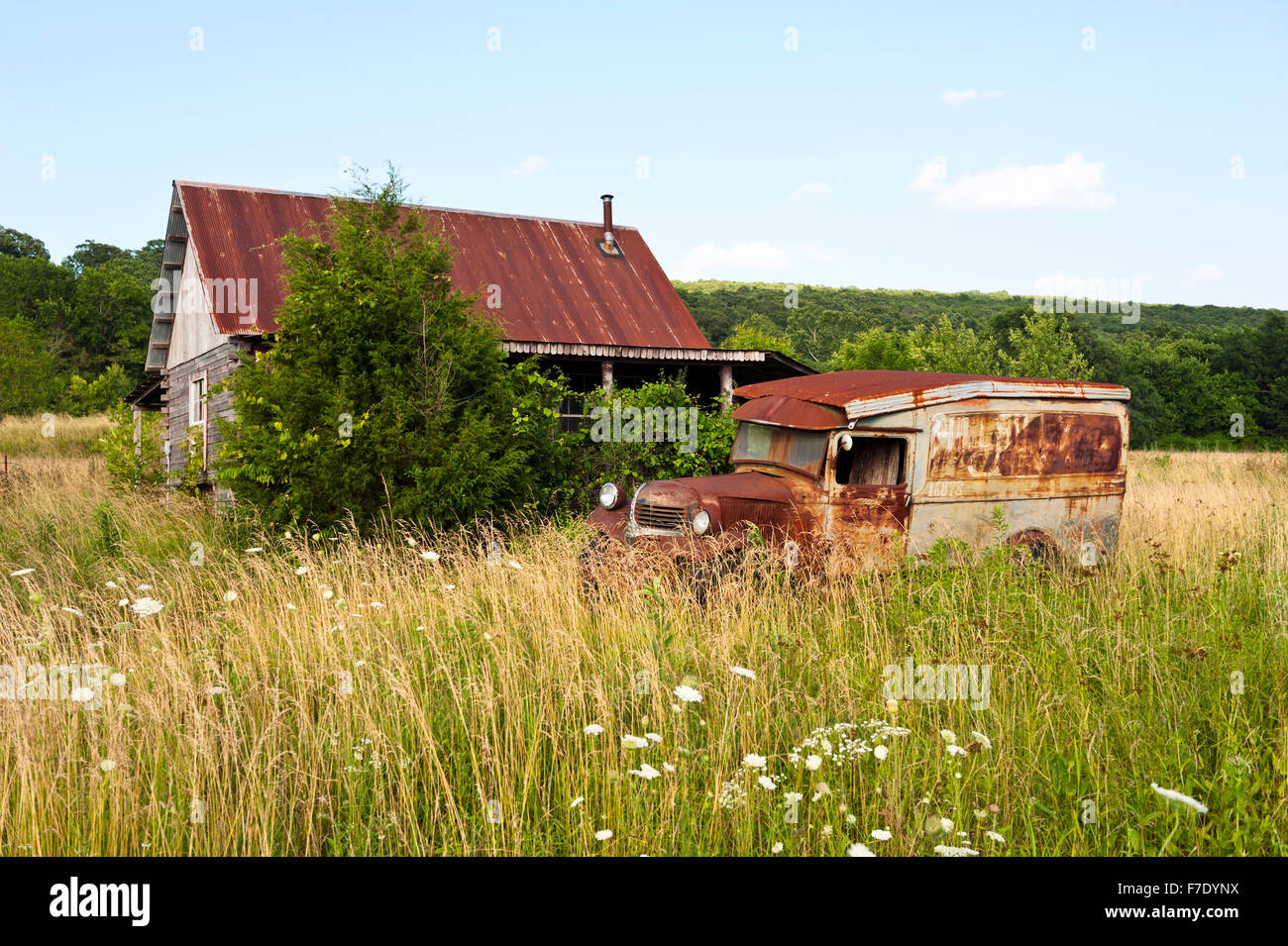 Un oxidado viejo camión y granja en un campo cubierto de hierba Foto de stock