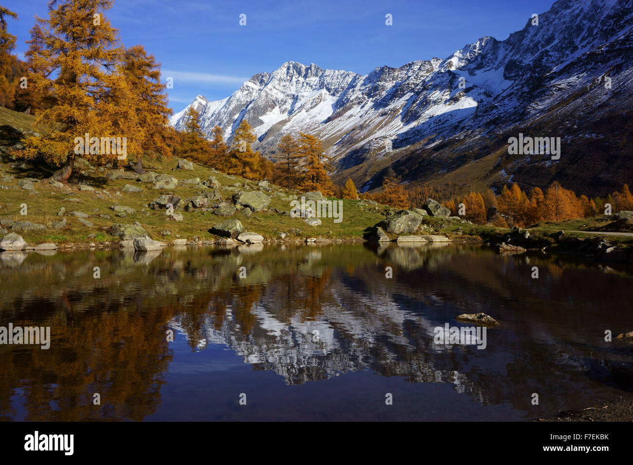 En Lötschental Fafleralp con montañas reflejando en el estanque, el otoño, los Alpes de Valais, Suiza Foto de stock