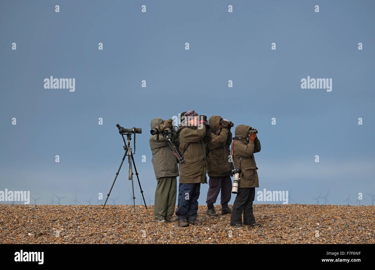 Los observadores de aves en cley Beach, North Norfolk, Inglaterra Foto de stock