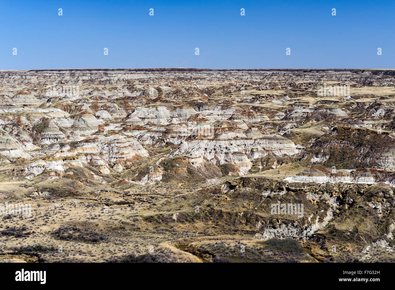 El Dinosaur Provincial Park destaca por la belleza de su paisaje de malpaís y como un importante sitio fósil, Alberta, Canadá Foto de stock