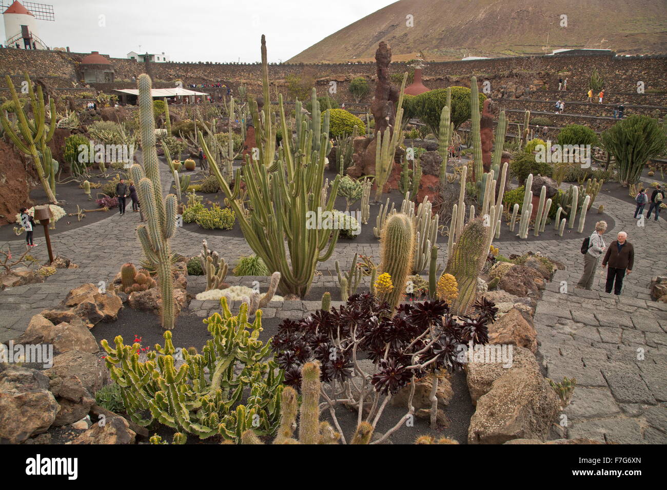 Jardín de Cactus, Jardín de Cactus, César Manrique, cactus, cactus, cactos, suculentas Foto de stock