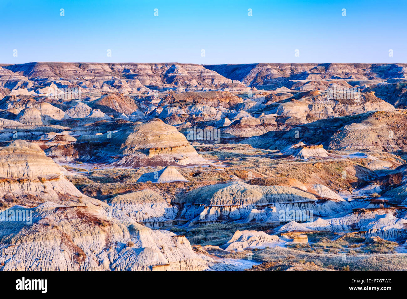 El Dinosaur Provincial Park paisaje destaca por la belleza de su paisaje de malpaís y como un importante sitio fósil, Alberta, Canadá Foto de stock