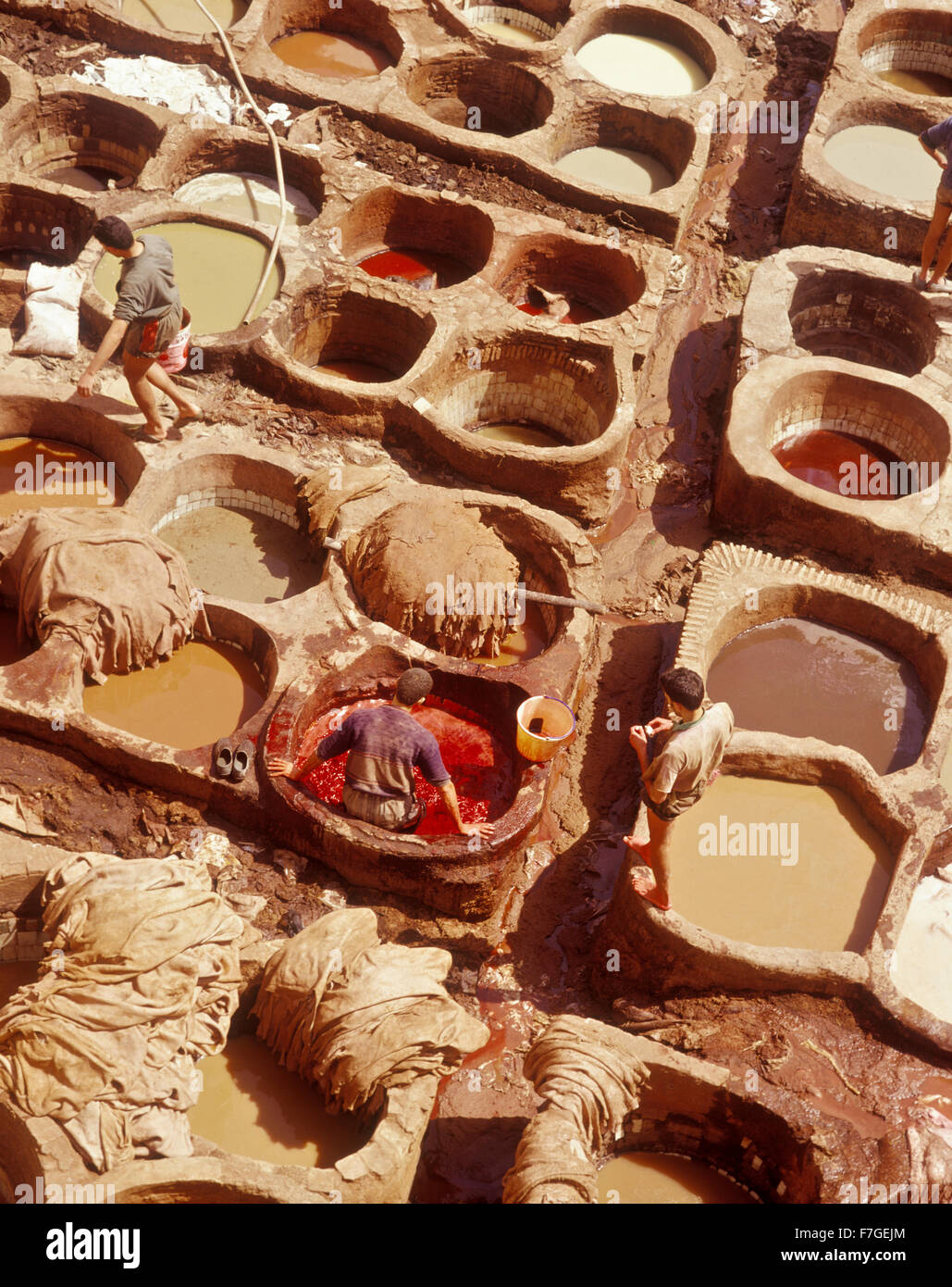 Los trabajadores en el curtido de cuero marrón fosos. En Fes, Marruecos. Al Fes el Bali, Marruecos. Foto de stock