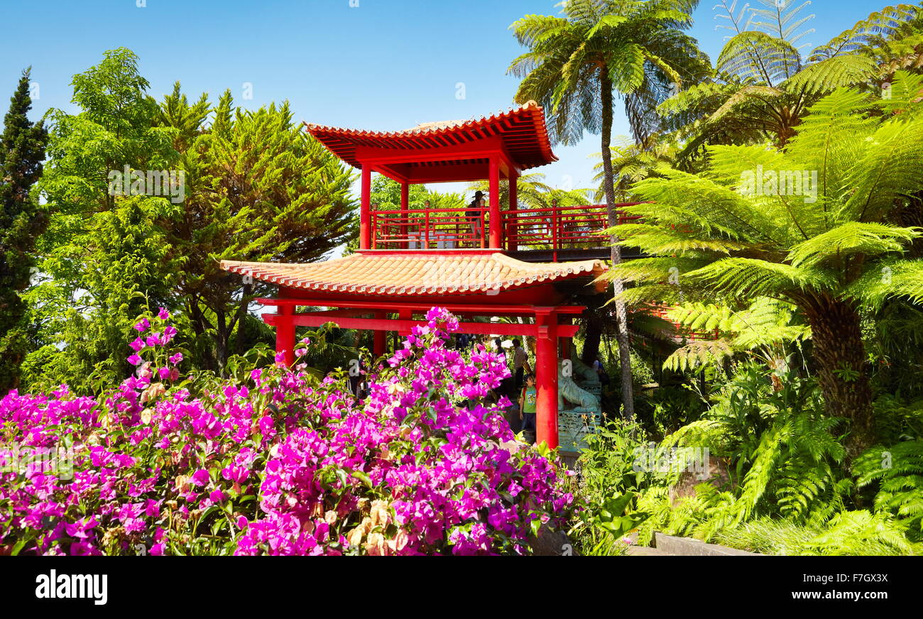 Jardín de flores orientales del Japón el Jardín Tropical de Monte Palace - Isla de Madeira, Portugal Foto de stock