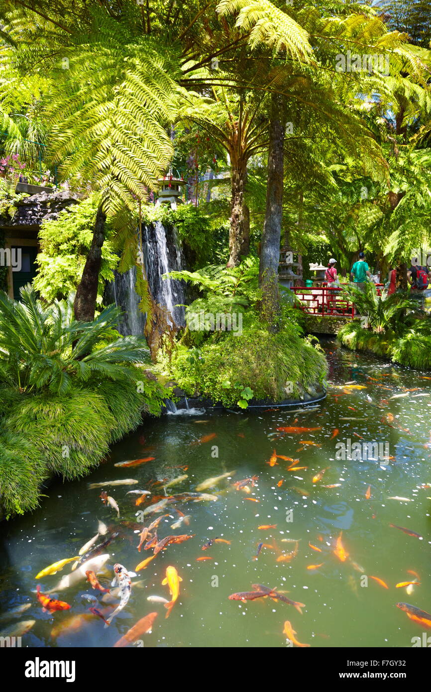 El Jardín Tropical de Monte Palace (jardín japonés) - Monte, la isla de Madeira, Portugal Foto de stock