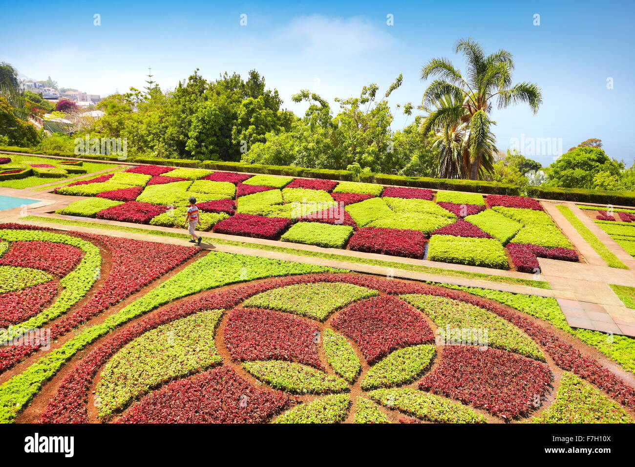 El Jardín Botánico de Madeira - Funchal, Madeira, Portugal Foto de stock