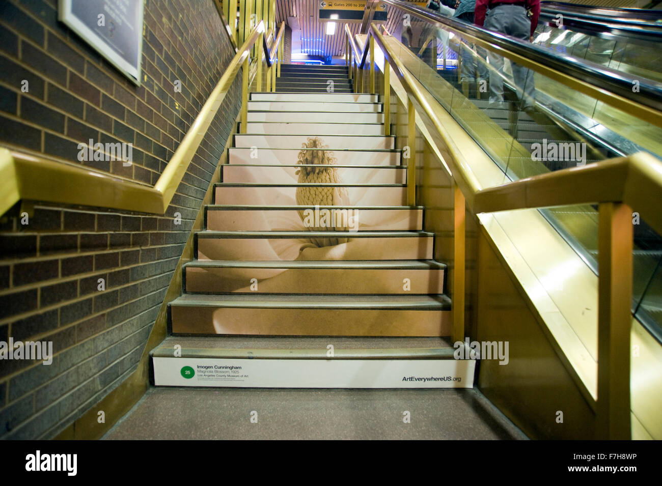 Imogen Cunningham fotografía reproducida en la escalera de la estación de autobuses Port Authority en Manhattan como parte del proyecto de arte por todas partes en Nueva York. Foto de stock