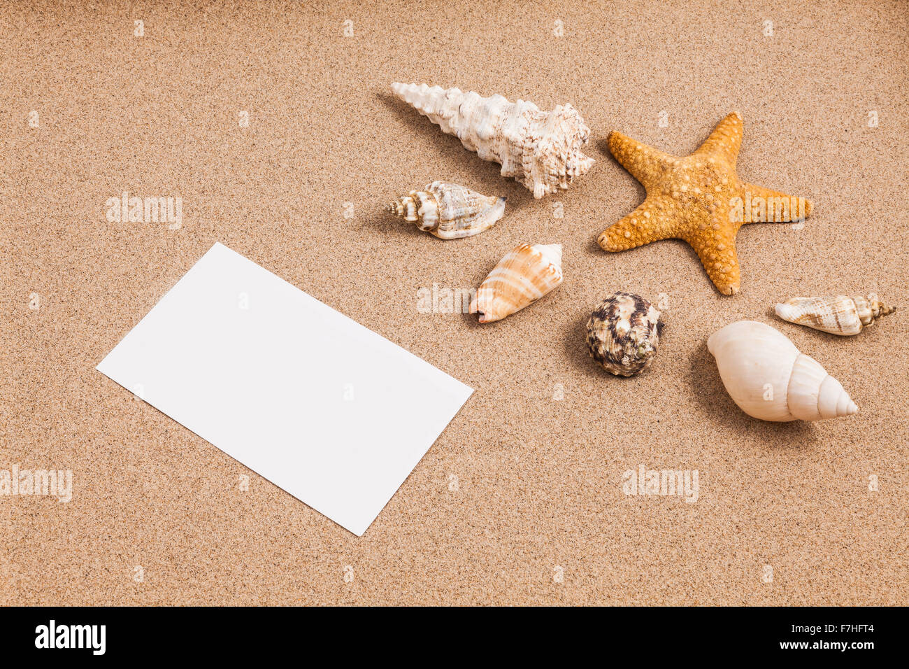Conchas en la arena con una baja iluminación Foto de stock