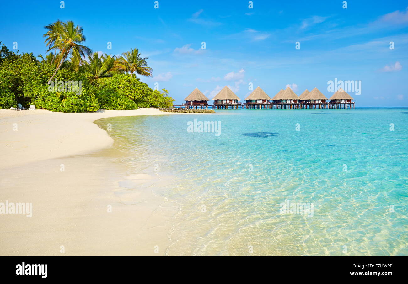 Playa Tropical en las Islas Maldivas, el Atolón Ari Foto de stock