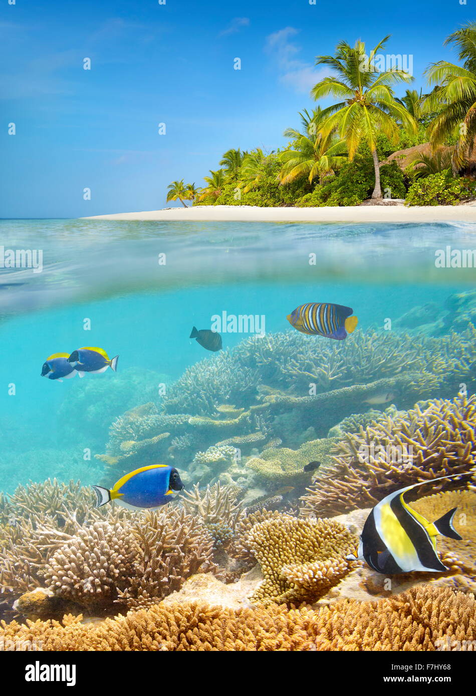 Playa Tropical en las Maldivas Foto de stock