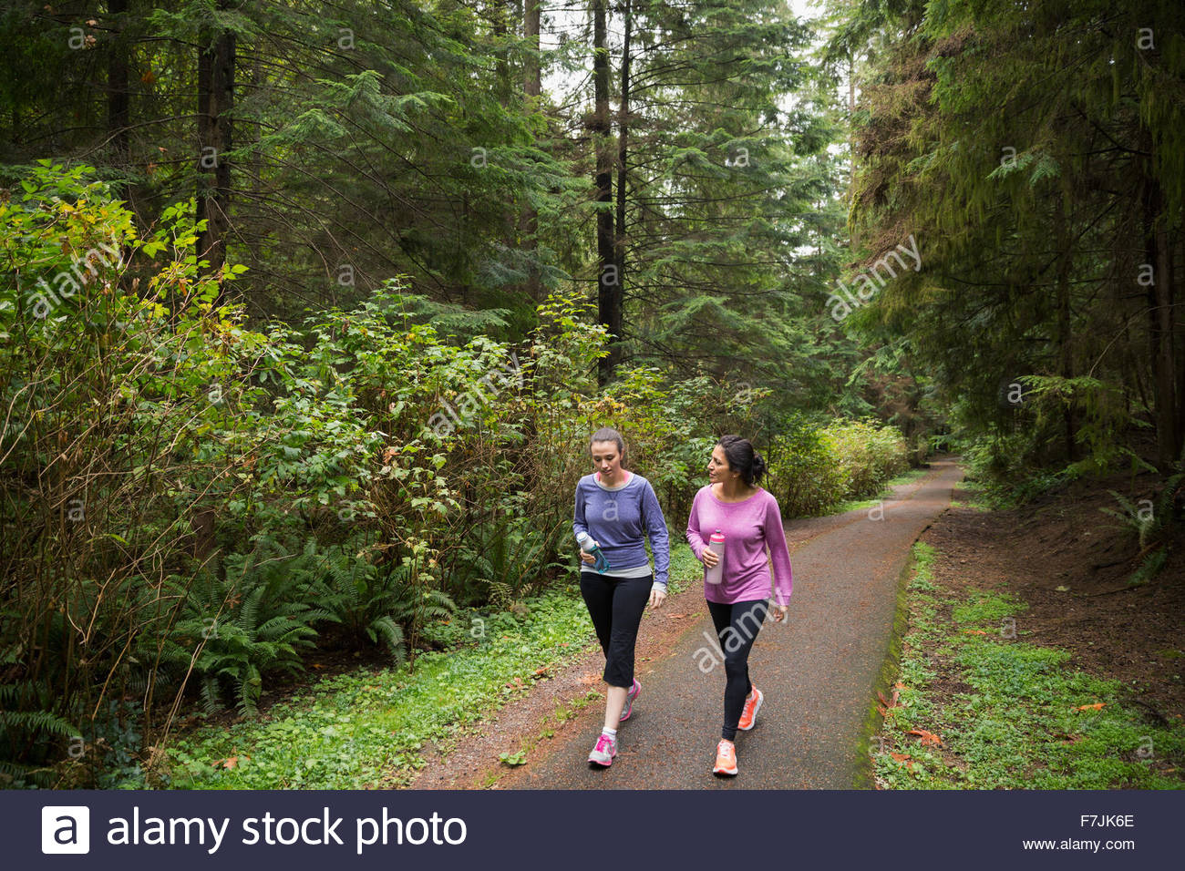 Madre e hija poder caminar camino en maderas Foto de stock