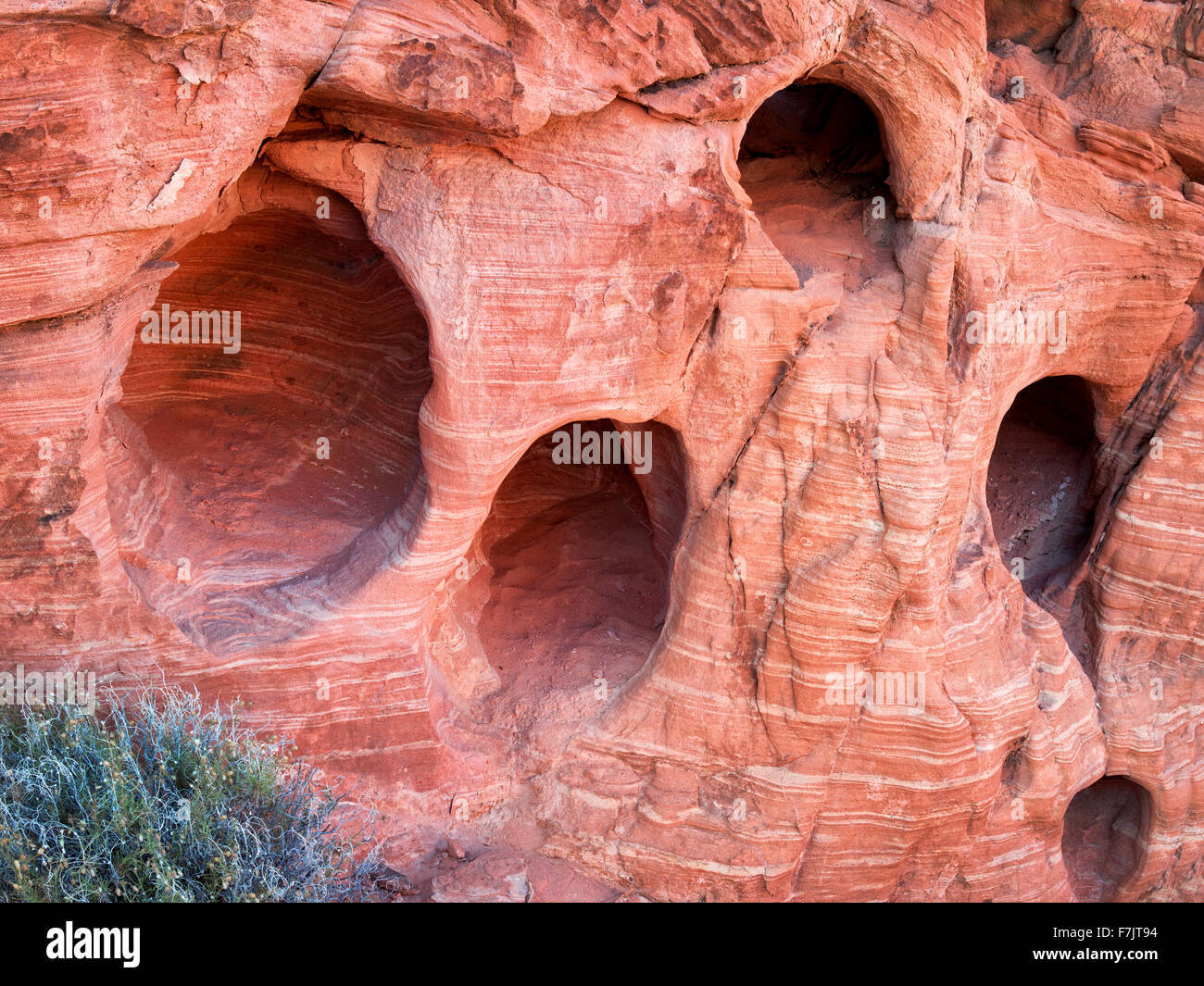 Agujeros erosionadas en piedra arenisca. El Parque Estatal Valle del Fuego, Nevada Foto de stock