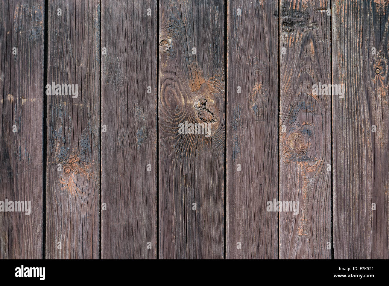 Fondo De Madera. Textura De Madera, Tabla De Pino Ilustración Fotos,  retratos, imágenes y fotografía de archivo libres de derecho. Image 66043082