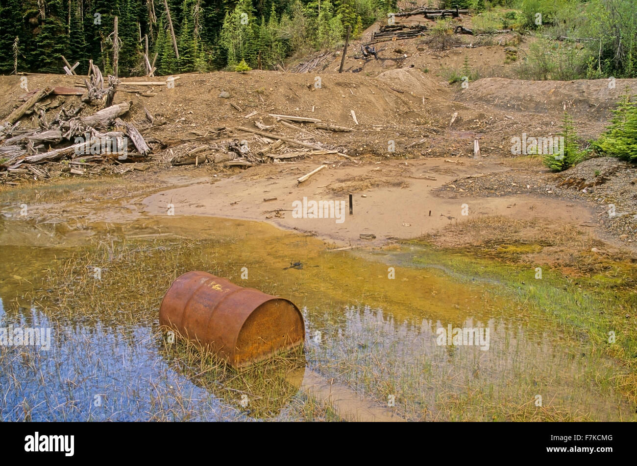 Parcialmente recuperado y remediados Cronin sitio de mina vieja, montañas Babine Provincial Park, Columbia Británica Foto de stock