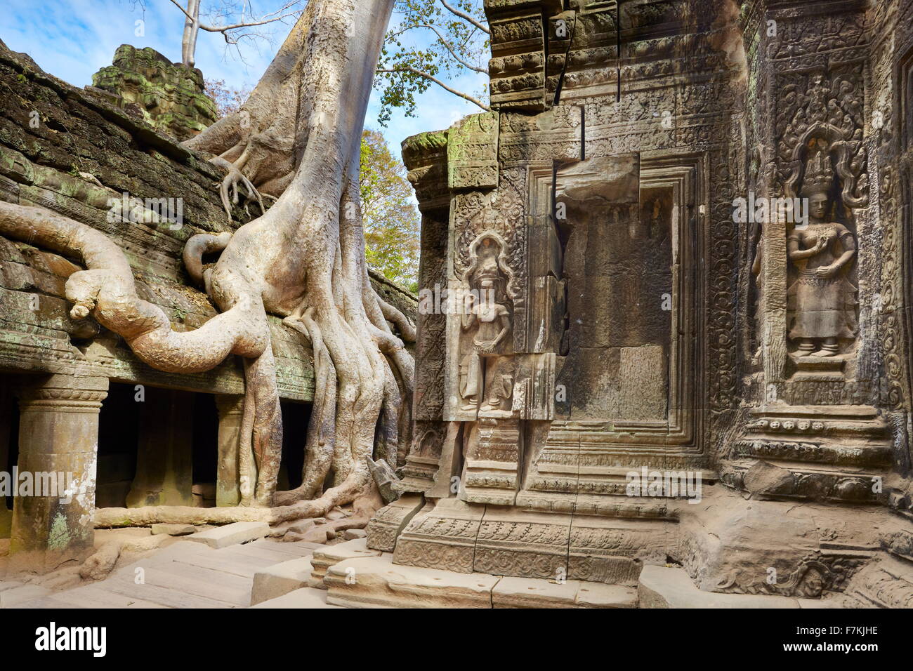 Ruinas de Ta Prohm, el templo de Angkor, en Camboya, Asia Foto de stock