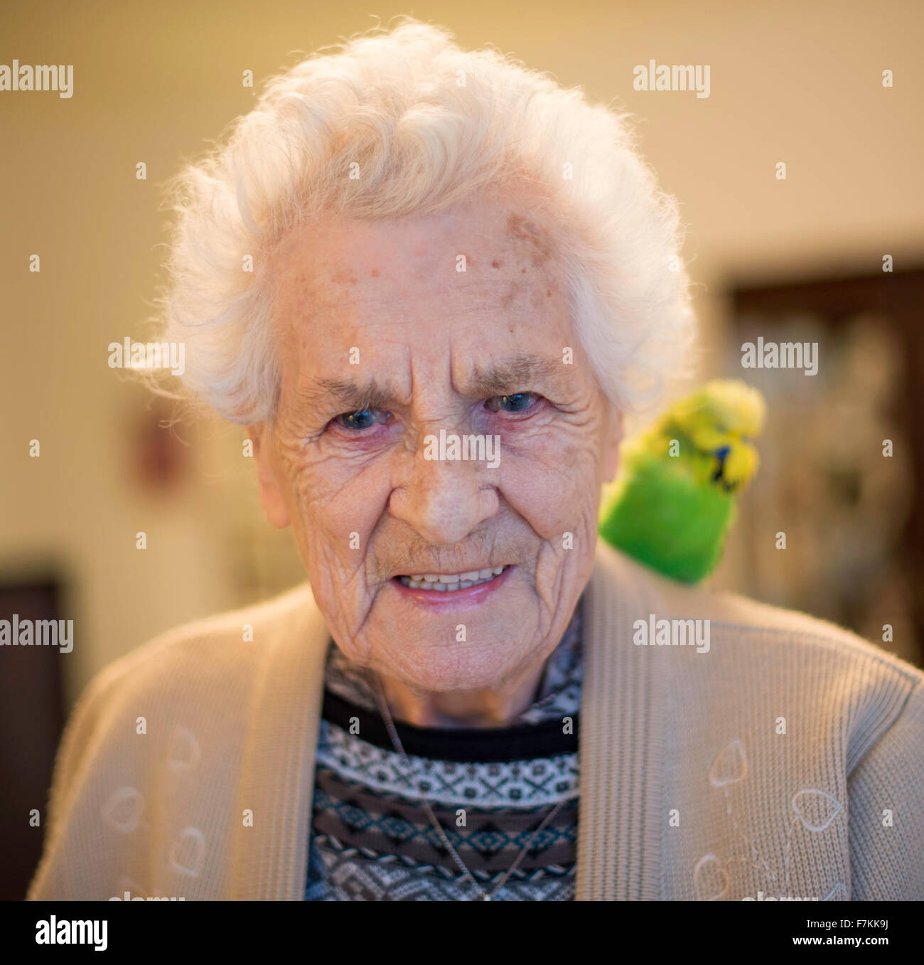 Una anciana en una casa de cuidados con una mascota budgie sobre su hombro Foto de stock