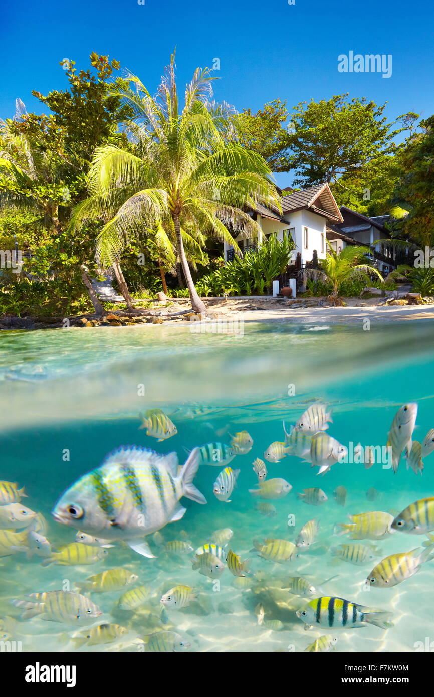 El paisaje tropical de la isla de Ko Samet submarina con vista al mar con peces, Tailandia, Asia Foto de stock