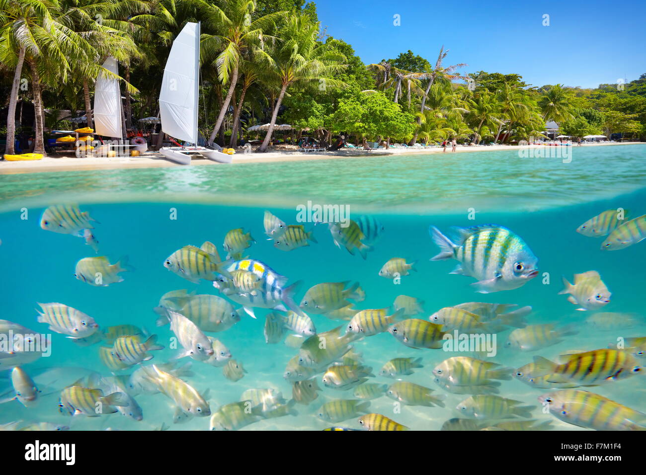 Tailandia - playa tropical y vista mar submarino con peces en Ko Samet Island, Tailandia, Asia Foto de stock