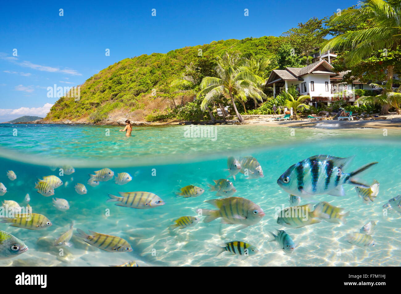 Vista mar submarino en Ko Samet Island Beach, Tailandia, Asia Foto de stock