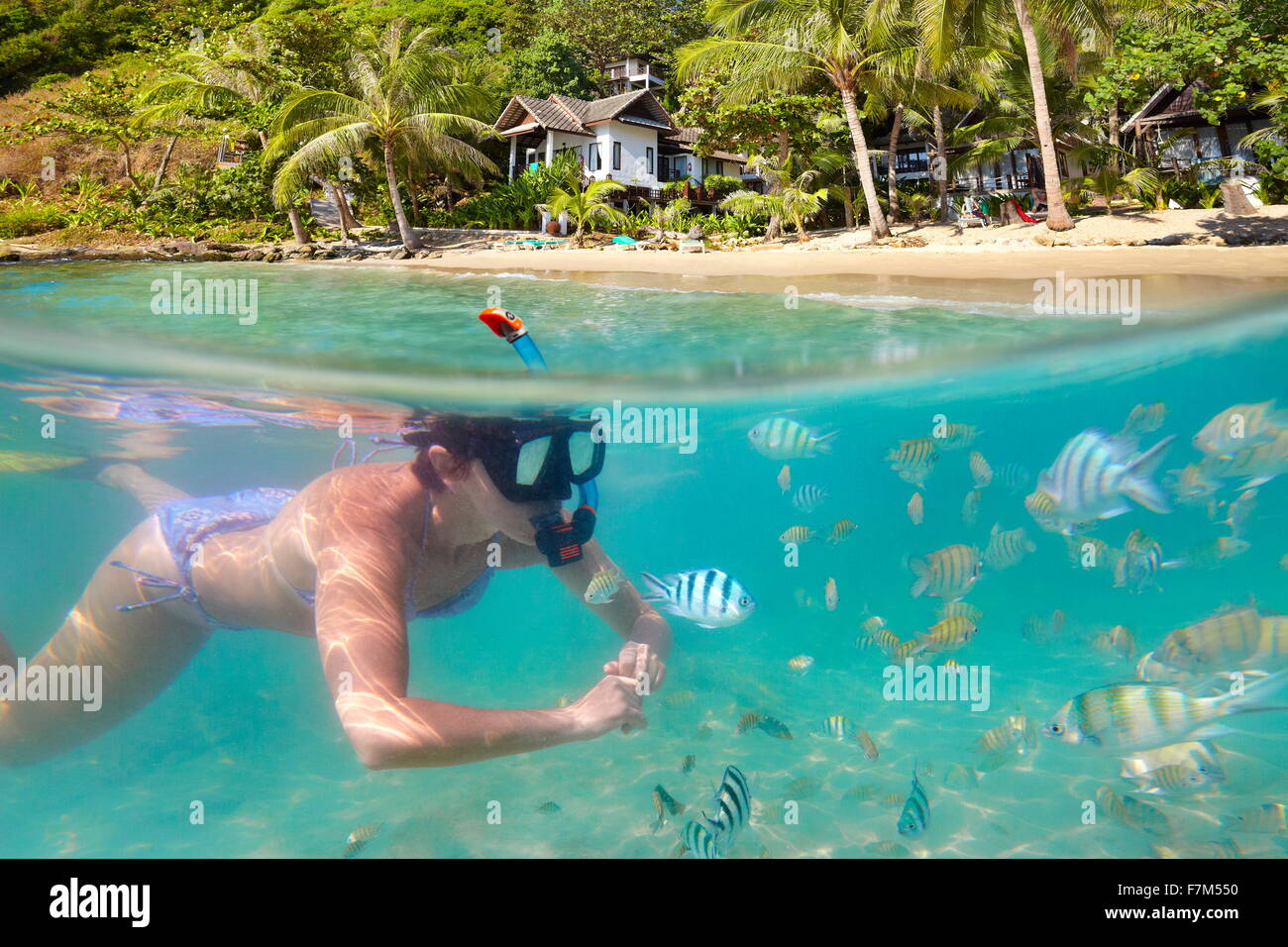 Snorkeling mujer con pescado, Ko Samet Beach, Tailandia, Asia Foto de stock