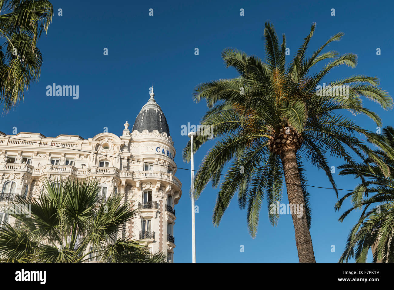 Carlton, Hotel, con fachada, palmera, Cannes, Foto de stock
