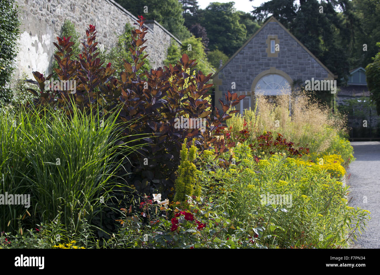 Las plantas que crecen en julio en Bodnant Garden, Clwyd, Gales. Creada por cinco generaciones de una familia, de Bodnant se asienta perfectamente en su espectacular paisaje del norte de Gales. Foto de stock
