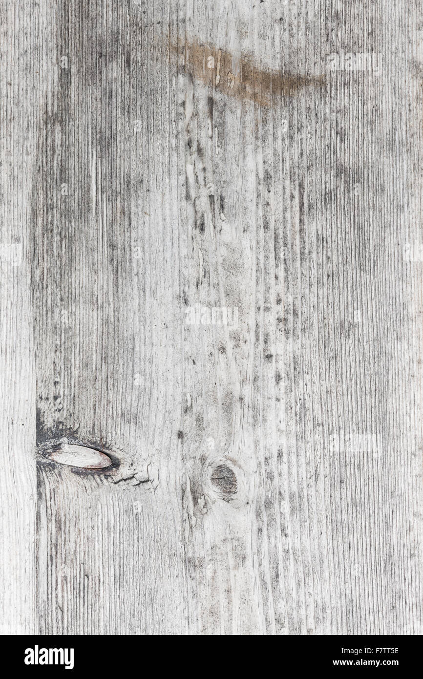 Mayores antecedentes de textura de madera gris Foto de stock