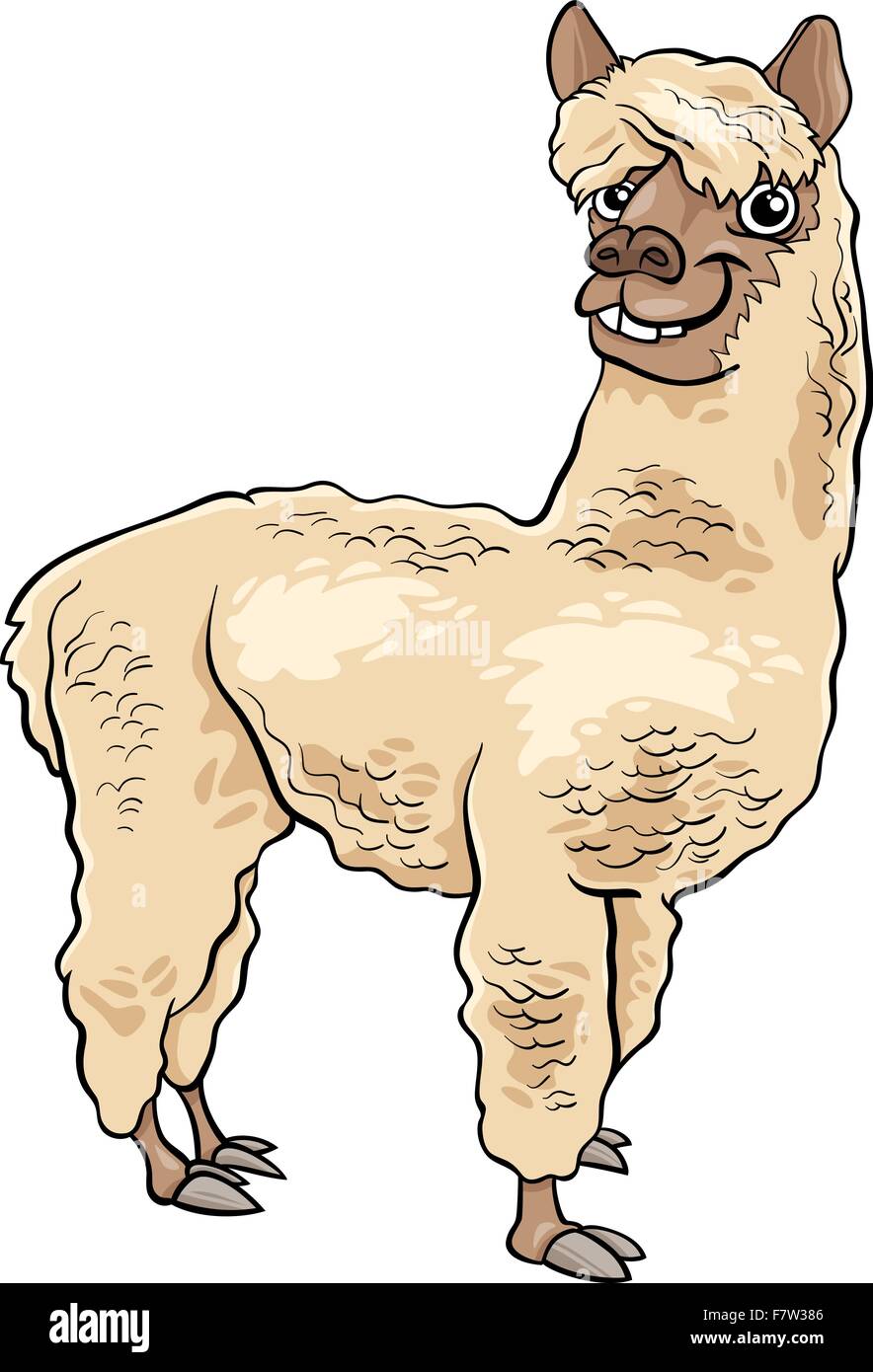 Alpaca animal cartoon ilustración Ilustración del Vector