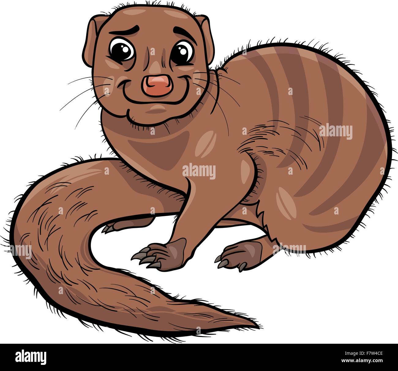 Especies de mangosta Imágenes vectoriales de stock Alamy