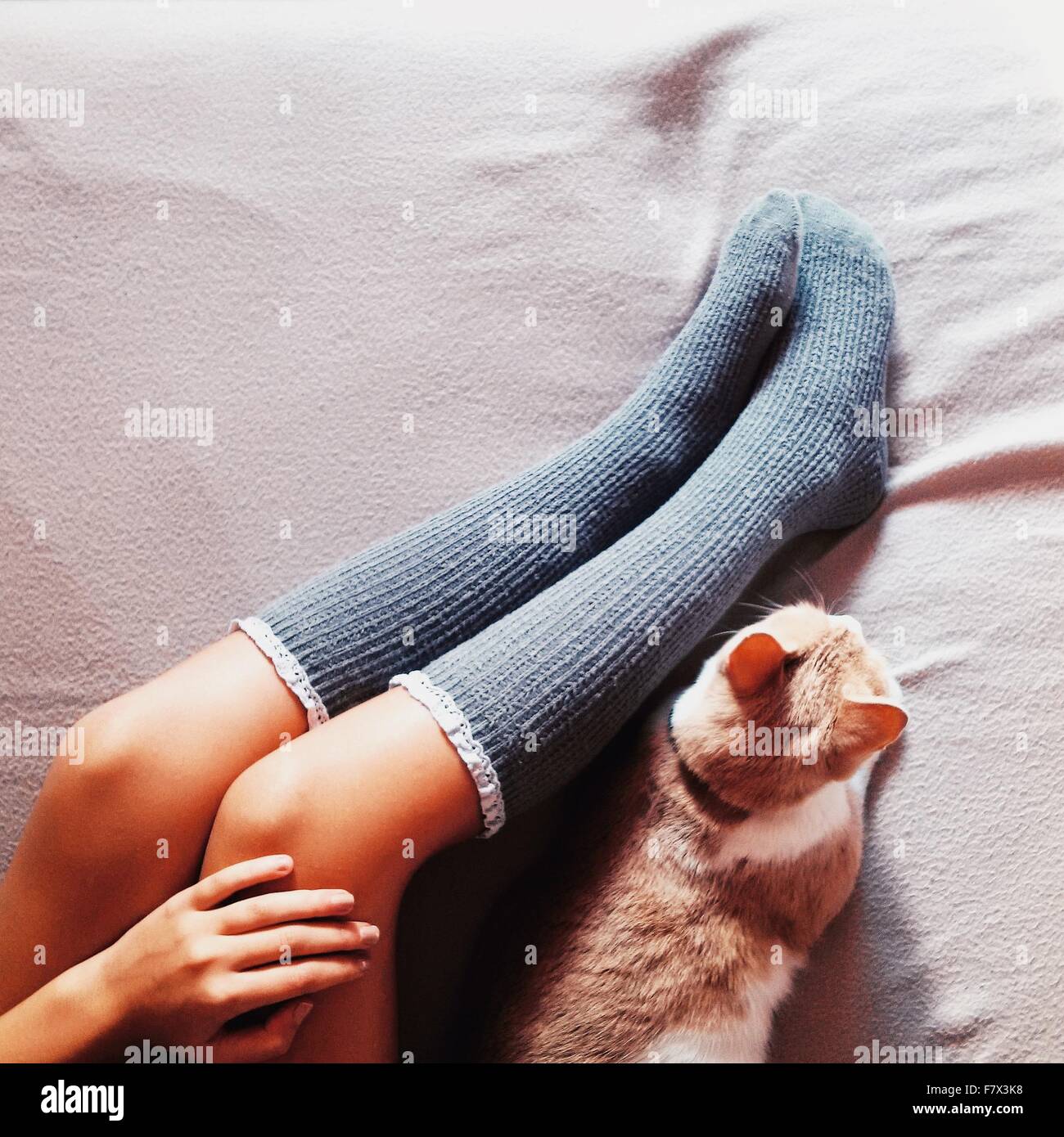 Las piernas de una mujer en calcetines largos y gato acostado en una cama Foto de stock