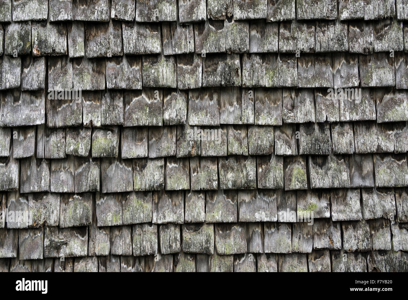 Antiguas tejas de madera en una granja, cerca de Winkel Sonthofen, Allgäu, Baviera, Alemania Foto de stock