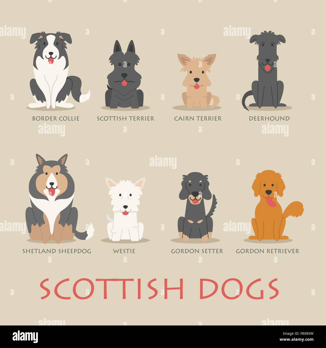 Conjunto de perros escoceses Imagen Vector de stock - Alamy