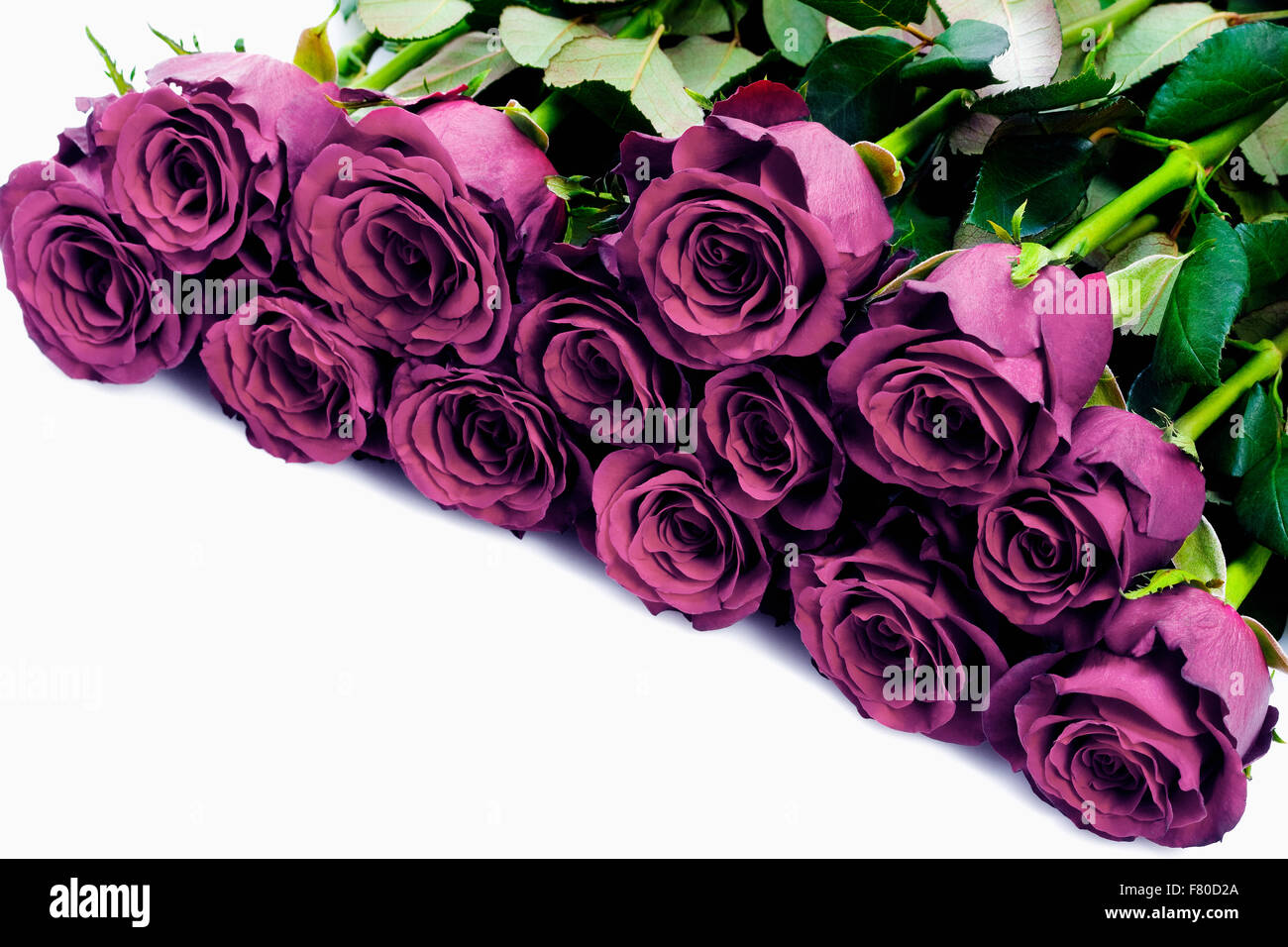 Ramo de rosas blancas con flores moradas fotografías e imágenes de alta  resolución - Alamy