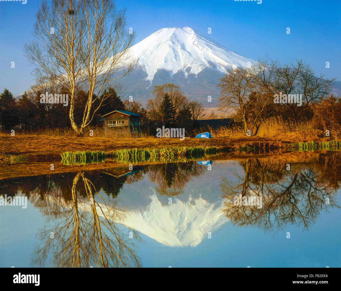 Mt. Fuji reflexión, Parque Nacional Fuji-Hazone-Izu, Japón 12, 388 pie volcán durmiente, reflejados en los estanques Oshino Tsurga/ Foto de stock
