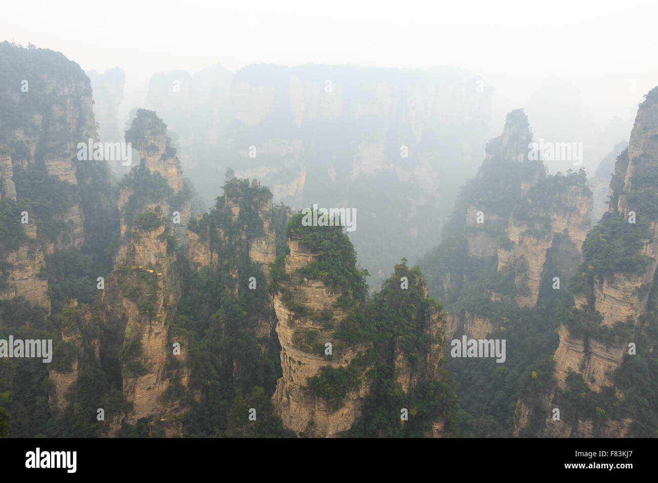 El parque nacional de Zhangjiajie ( tian zhi shan) Parque Natural de la montaña de Tianzi ( ) y la niebla Foto de stock