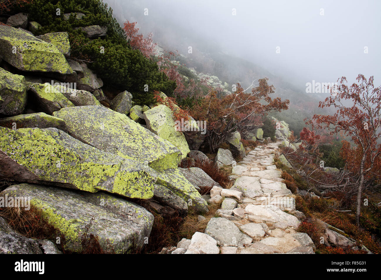 Ruta de montaña con niebla en otoño paisaje de montañas Foto de stock