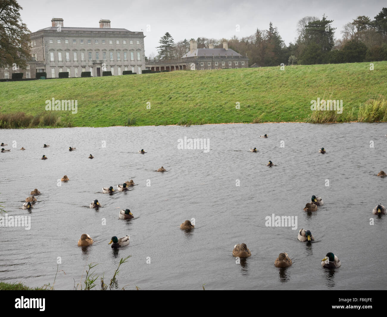 Castletown Estate, Celbridge, Co Kildare Fotografía de stock - Alamy