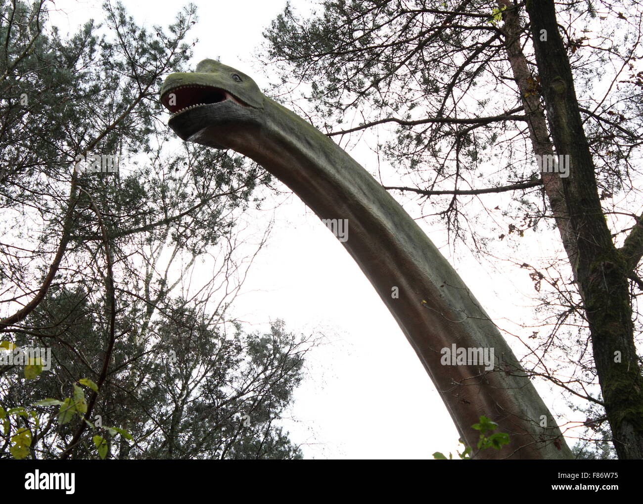 Modelo de un Braquiosaurio gigante imponente, de tamaño completo y realista Dinopark dino estatua en Zoo de Amersfoort, Holanda, época jurásica Foto de stock