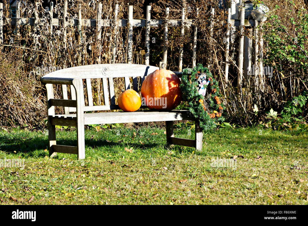 Las calabazas de color naranja en la banqueta de madera vieja en el jardín, la Alta Baviera, en Alemania, en Europa. Foto de stock