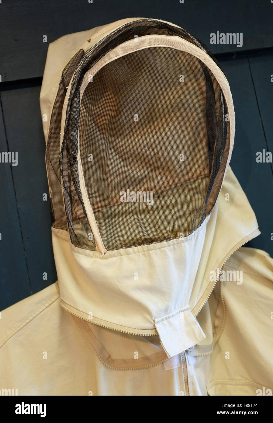 Apicultores usan un velo de esgrima se diseña para proteger sus rostros de las picaduras de abeja Foto de stock