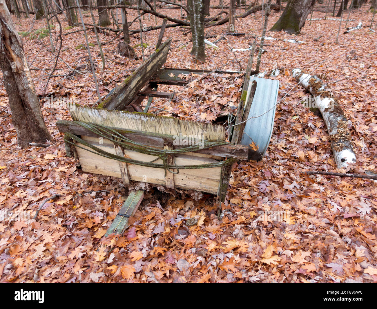 Remolque de madera colapsado fundiéndose en los bosques y las hojas de otoño. Cumberland Wisconsin WI USA Foto de stock