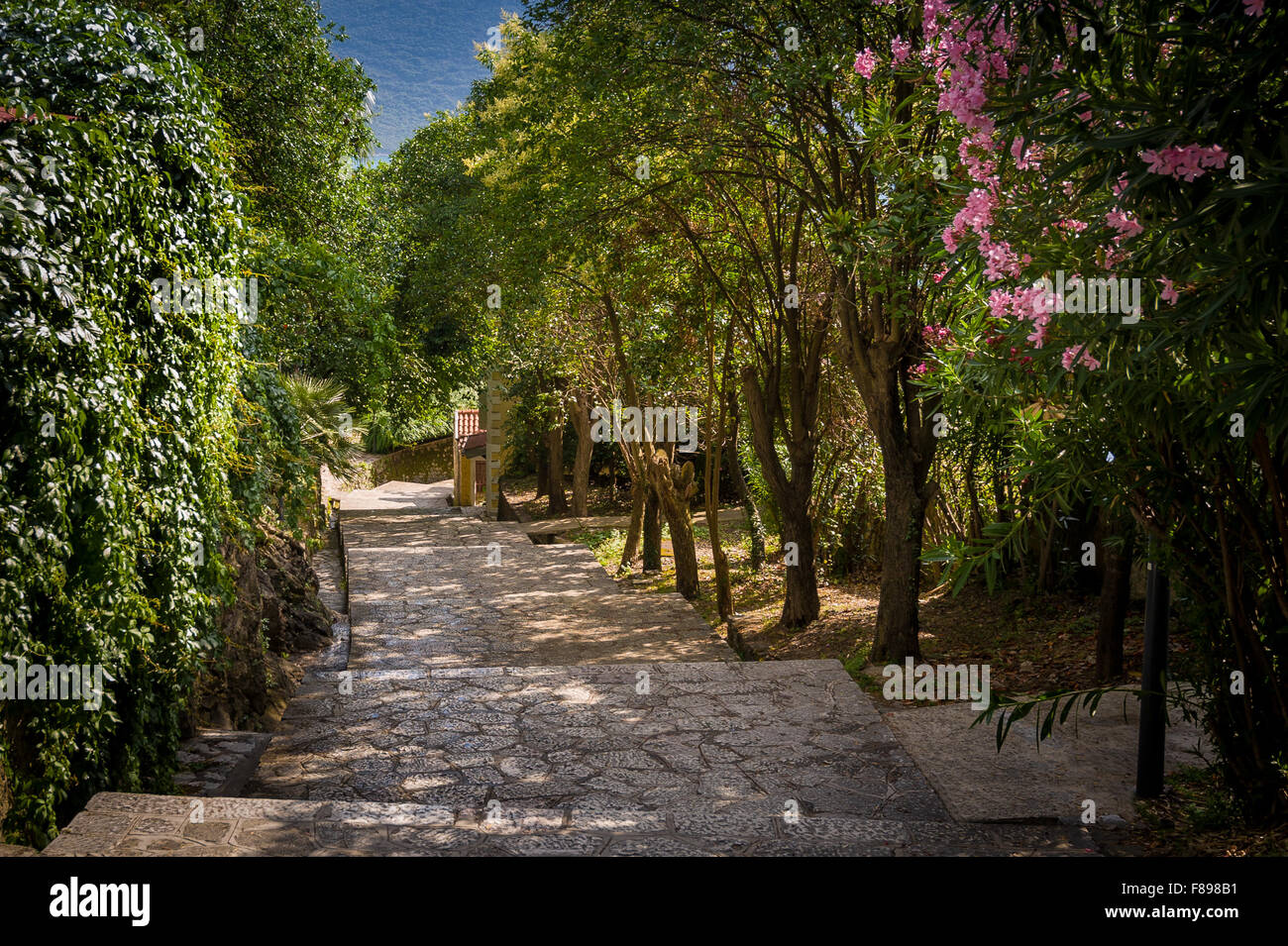 Park alley en Herceg Novi, Casco antiguo Foto de stock